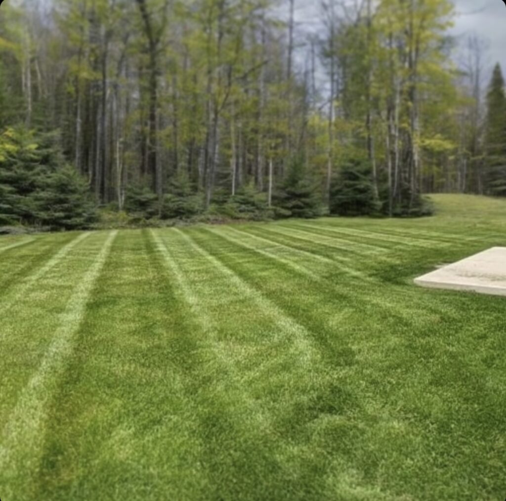 Here's an image showcasing our premier lawn care service in Dingmans Ferry, PA. Our dedicated team meticulously tends to the lawn, ensuring precise maintenance and expert care. With our services, your property will boast lush greenery and immaculate landscaping, elevating its curb appeal and beauty.