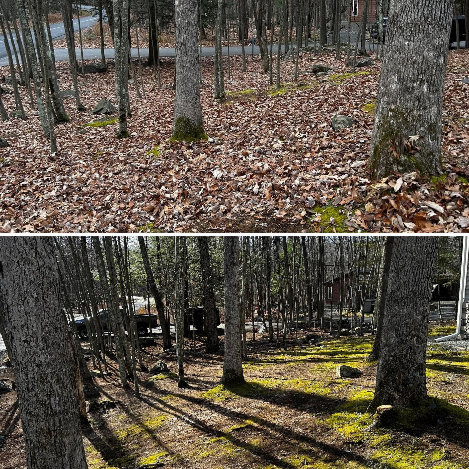 Professional leaf clean-up service in dingmans ferry, pa done by our lawn care and landscaping team that supplies the best fall and spring clean ups