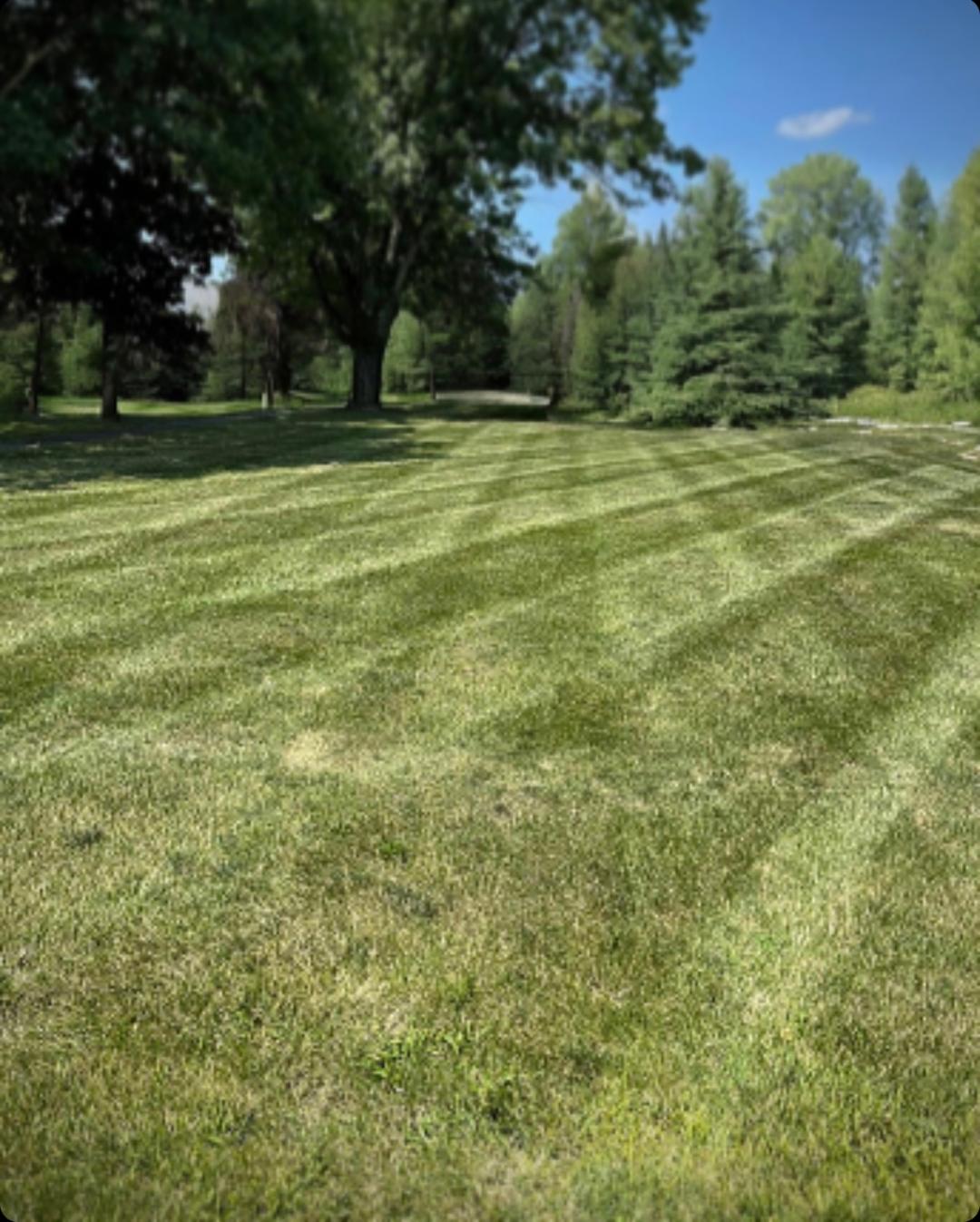 lawn care and landscaping bushkill PA
