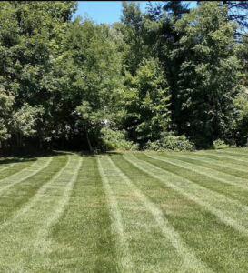 Lawn care job done in Milford, PA
