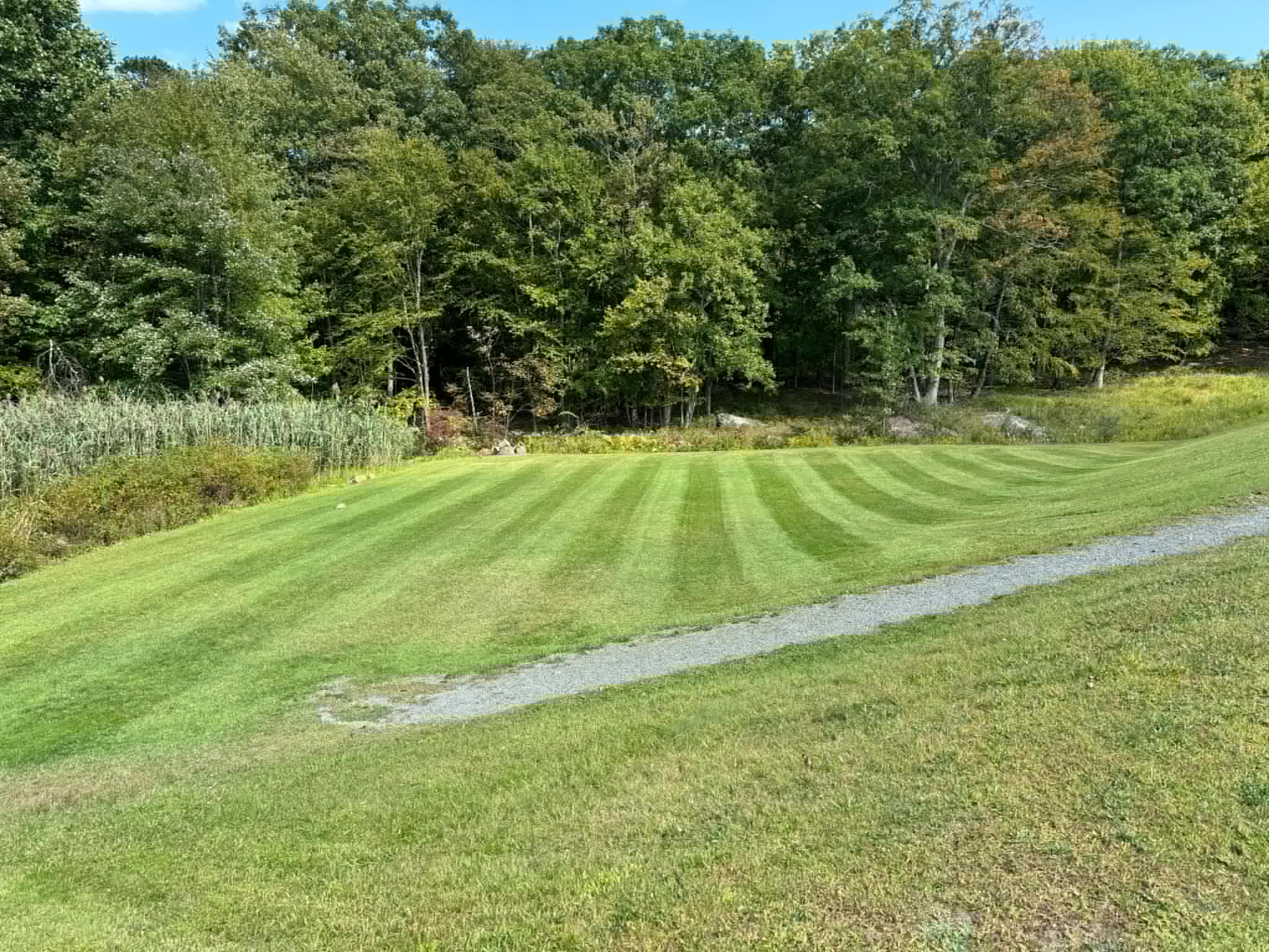 lawn care and landscaping shohola PA