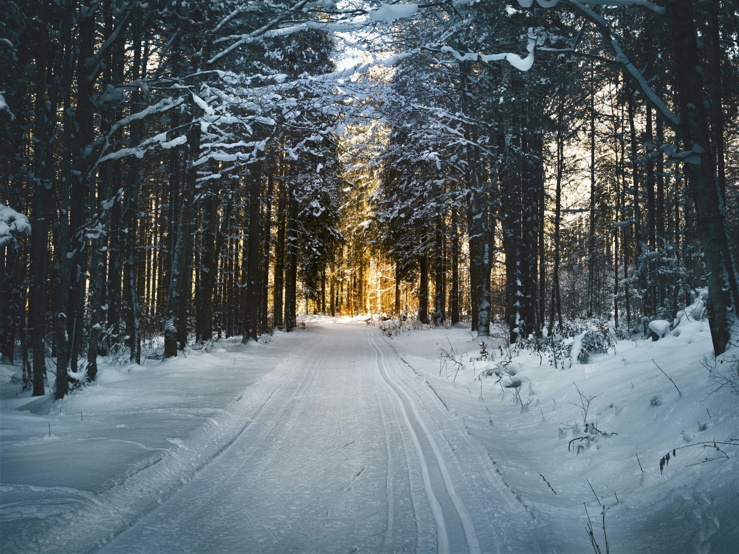 snow removal services shohola pa