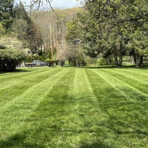 lawn care and landscaping matamoras PA