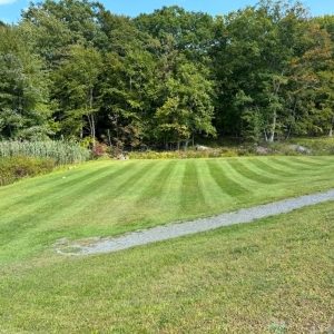 lawn care and landscaping shohola PA