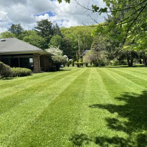 Lawn care and maintenance in Milford, PA