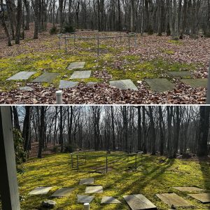 Professional leaf clean-up service that ensures a pristine yard for spring and fall seasons in Milford, PA. Our expert team removes leaves, debris, and organic matter, leaving your lawn immaculate. Say goodbye to clutter and hello to a beautifully maintained outdoor space. Contact us today for thorough leaf removal and seasonal clean-up services