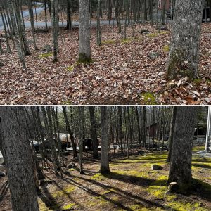 Professional leaf clean-up service in dingmans ferry, pa done by our lawn care and landscaping team that supplies the best fall and spring clean ups