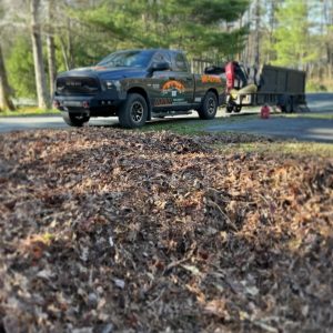 seasonal clean up services in pike county pa
