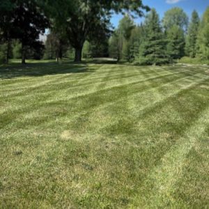 lawn care and landscaping bushkill PA
